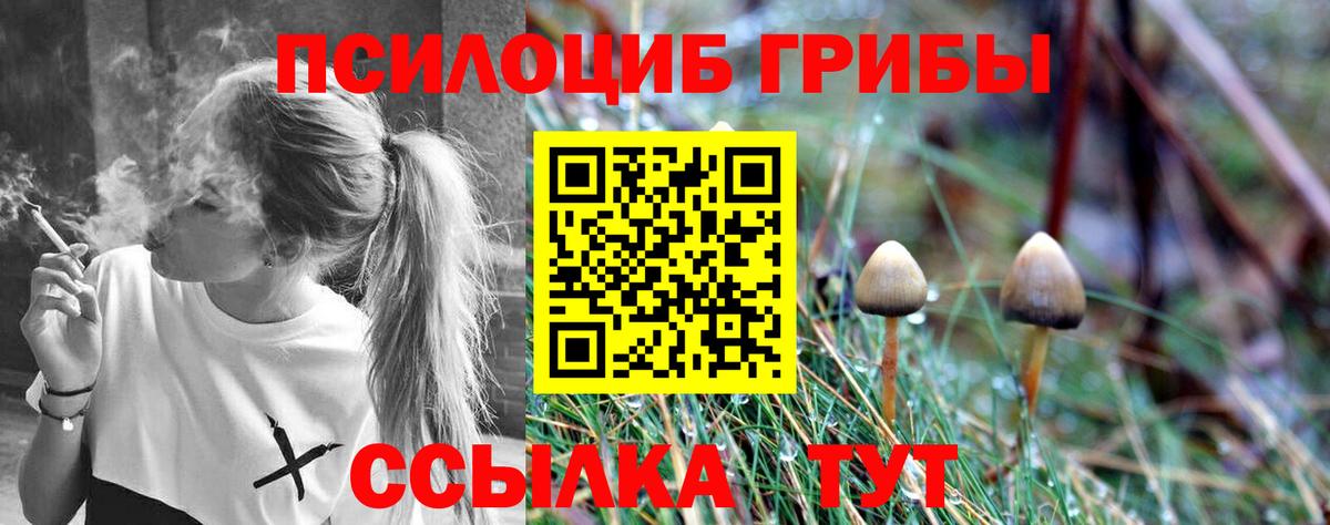 Псилоцибиновые грибы Psilocybine cubensis Рязань